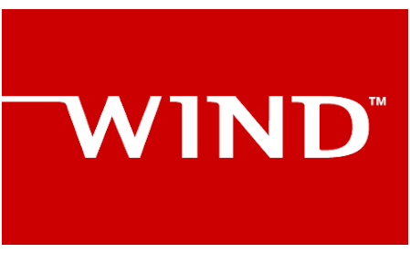 Wind logo